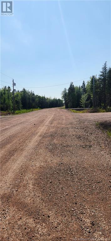 Lot 22-20 La Fontaine Extension Drive, Greater Lakeburn, New Brunswick  E1H 0C1 - Photo 11 - M160383