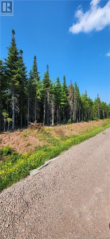 Lot 22-20 La Fontaine Extension Drive, Greater Lakeburn, New Brunswick  E1H 0C1 - Photo 13 - M160383