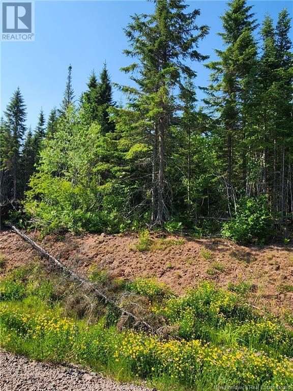 Lot 22-20 La Fontaine Extension Drive, Greater Lakeburn, New Brunswick  E1H 0C1 - Photo 2 - M160383