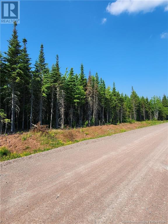 Lot 22-20 La Fontaine Extension Drive, Greater Lakeburn, New Brunswick  E1H 0C1 - Photo 3 - M160383