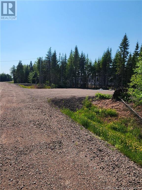 Lot 22-20 La Fontaine Extension Drive, Greater Lakeburn, New Brunswick  E1H 0C1 - Photo 5 - M160383