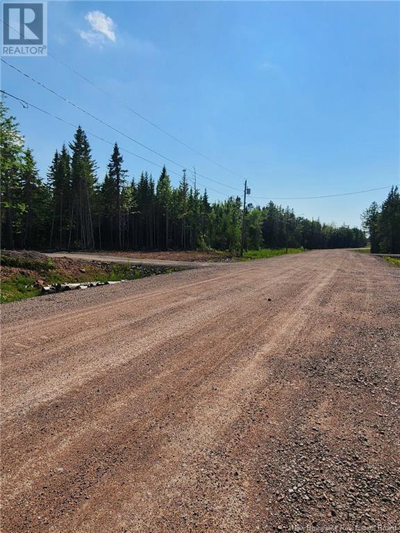 Lot 22-20 La Fontaine Extension Drive, Greater Lakeburn, New Brunswick  E1H 0C1 - Photo 7 - M160383