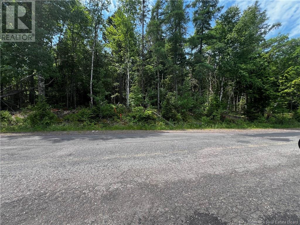 Lot Bridge Drive, Cambridge-Narrows, New Brunswick  E4C 1W3 - Photo 10 - NB102239