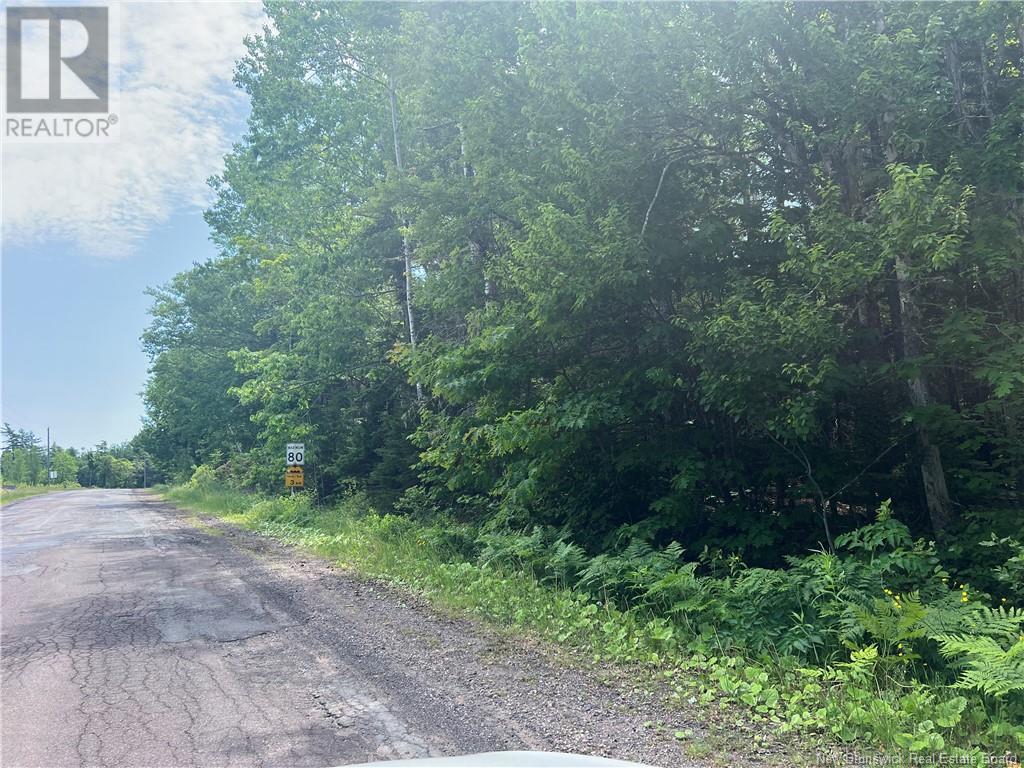 Lot Bridge Drive, Cambridge-Narrows, New Brunswick  E4C 1W3 - Photo 3 - NB102239