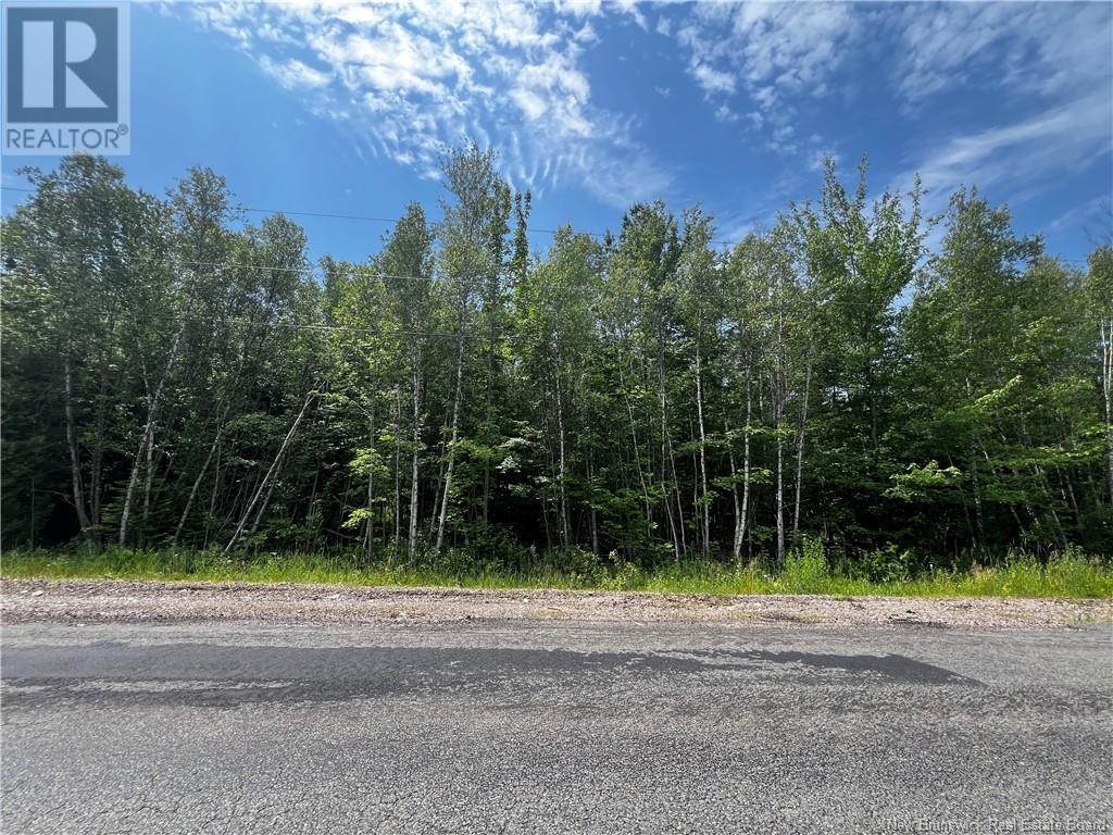 Lot Bridge Drive, Cambridge-Narrows, New Brunswick  E4C 1W3 - Photo 6 - NB102239