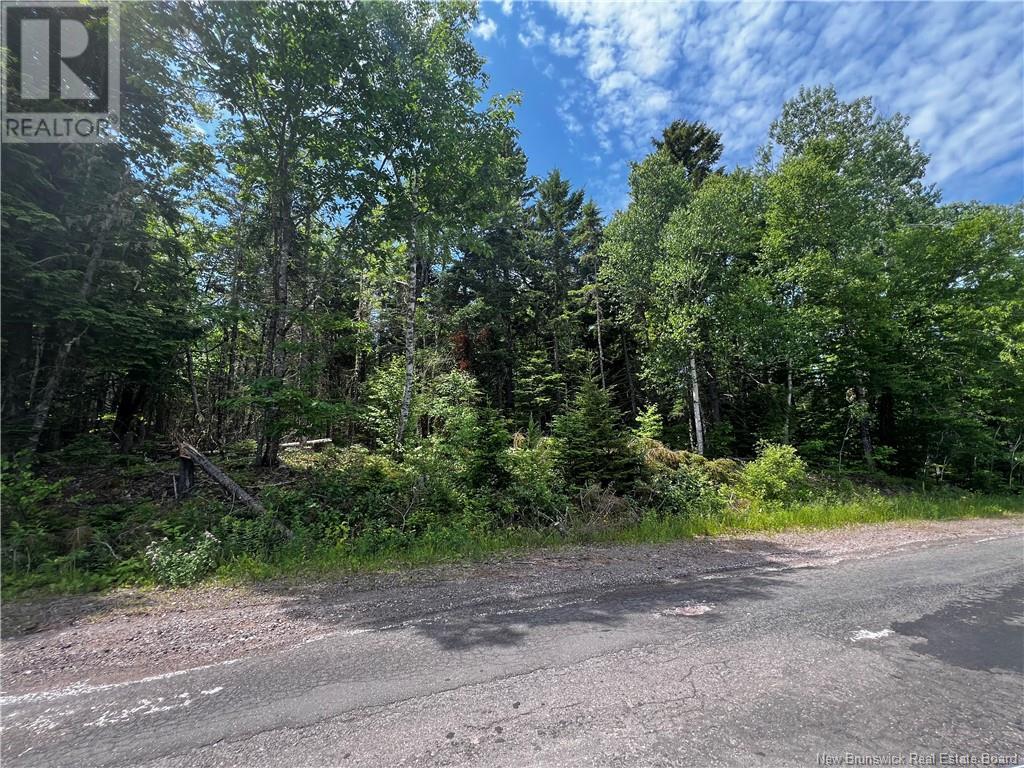 Lot Bridge Drive, Cambridge-Narrows, New Brunswick  E4C 1W3 - Photo 8 - NB102239