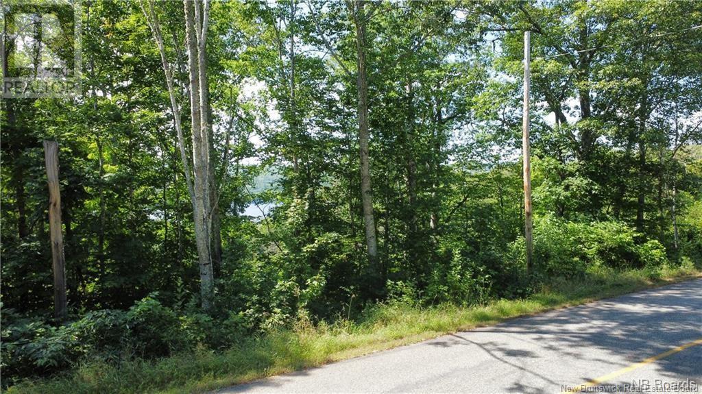 Lot 1 Route 105, Bear Island, New Brunswick  E6L 1K1 - Photo 3 - NB102307