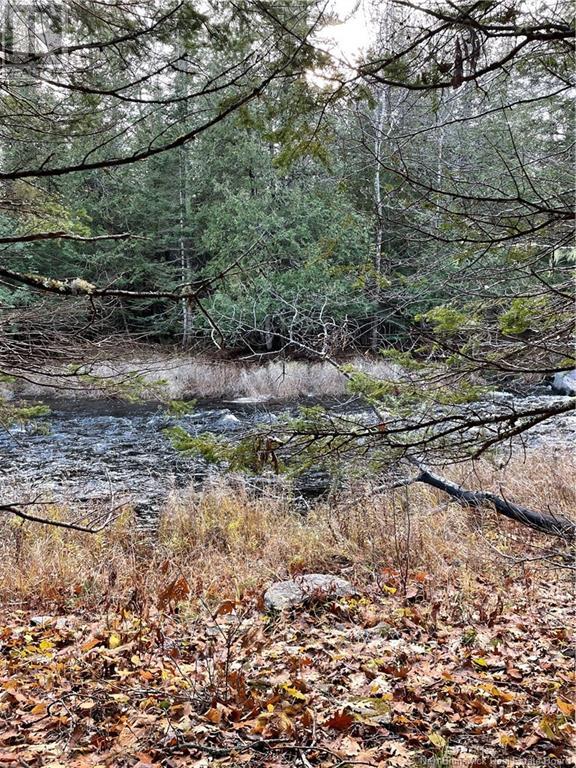 519 725 Route, Little Ridge, New Brunswick  E3L 5P4 - Photo 1 - NB102356