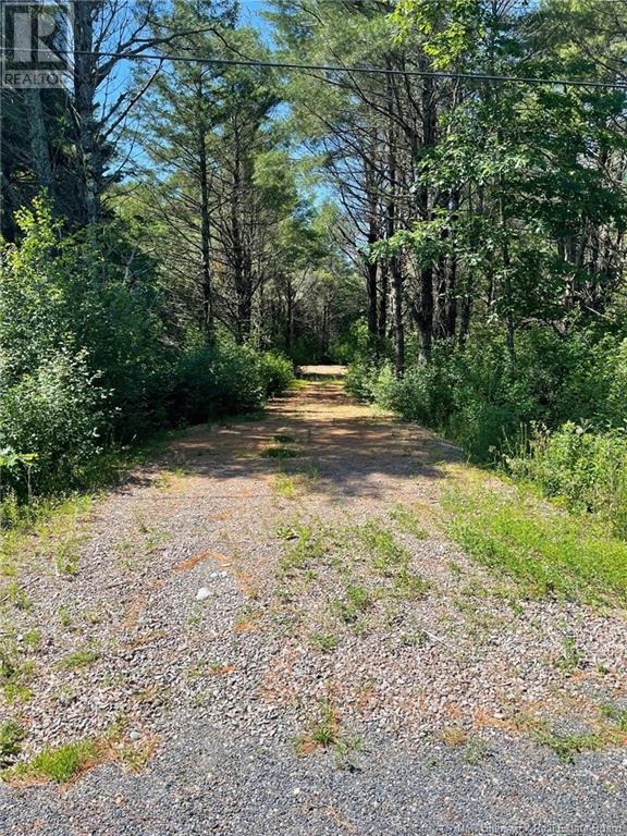 519 725 Route, Little Ridge, New Brunswick  E3L 5P4 - Photo 2 - NB102356