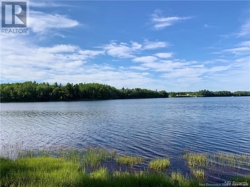 1 Acre Hatty's Hideaway (Off Rte 117), Black River Bridge, New Brunswick  E1N 5K5 - Photo 2 - NB102371