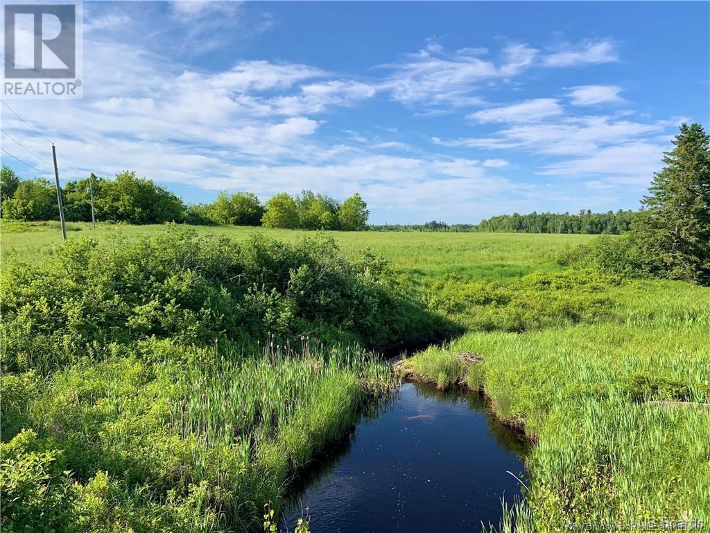 1 Acre Hatty's Hideaway (Off Rte 117), Black River Bridge, New Brunswick  E1N 5K5 - Photo 6 - NB102371