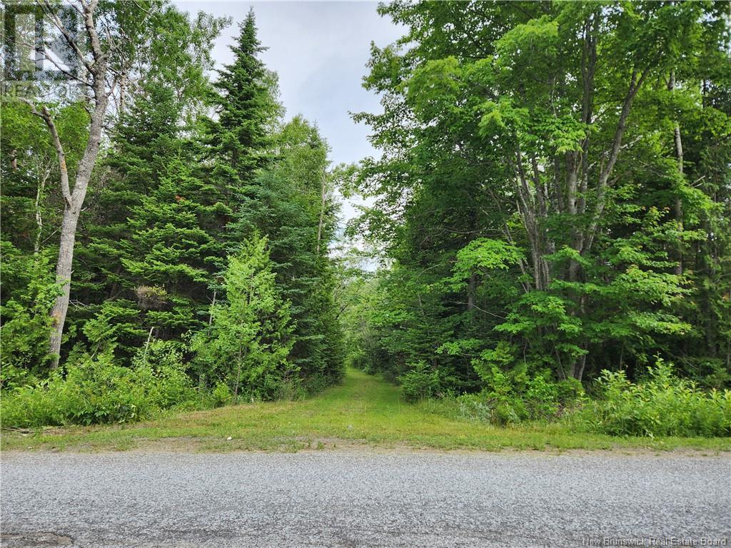 - Damasus Road, upper golden grove, New Brunswick