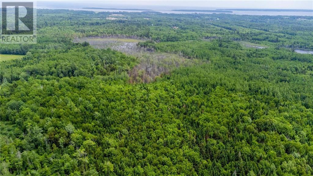 Lot Route 134, Cocagne, New Brunswick  E4R 3P1 - Photo 45 - M160549