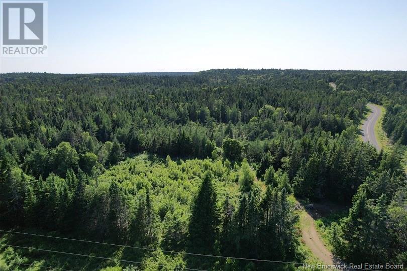 - Dark Harbour Road, grand manan, New Brunswick