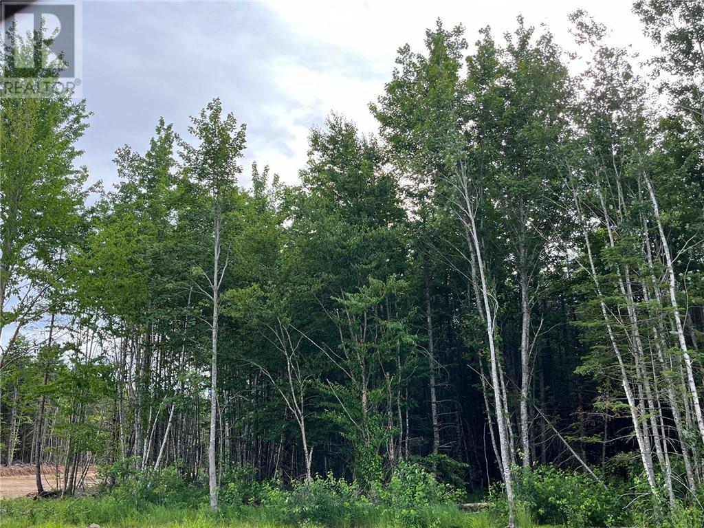 Lot 24-03 Maefield Street, lower coverdale, New Brunswick