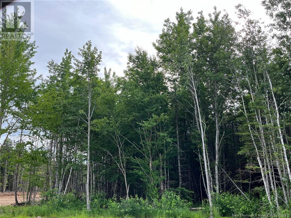 Lot 24-01 Maefield Street, lower coverdale, New Brunswick