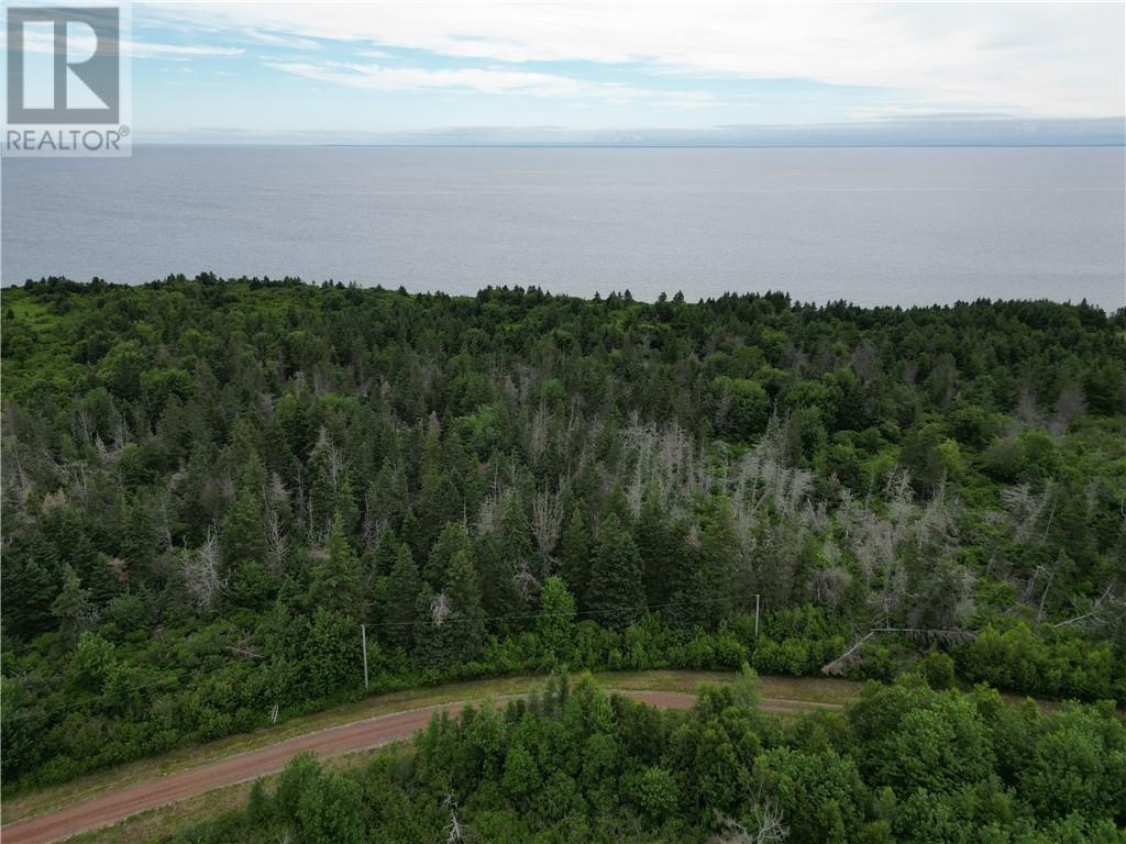 Lot 4-12 Edgewater Lane, Little Shemogue, New Brunswick  E4M 3N5 - Photo 5 - M160631