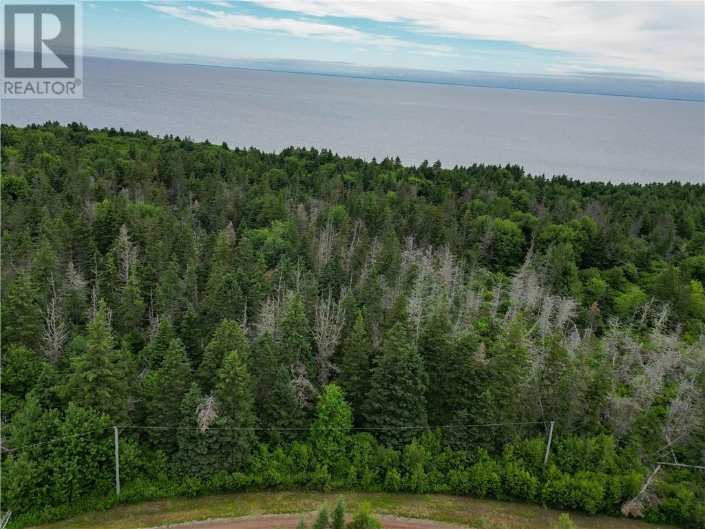 Lot 4-12 Edgewater Lane, Little Shemogue, New Brunswick  E4M 3N5 - Photo 7 - M160631