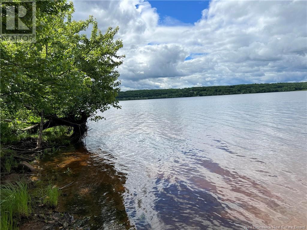 Vacant Lot Lakeview Drive, Washademoak, New Brunswick  E4C 2L6 - Photo 10 - NB102560