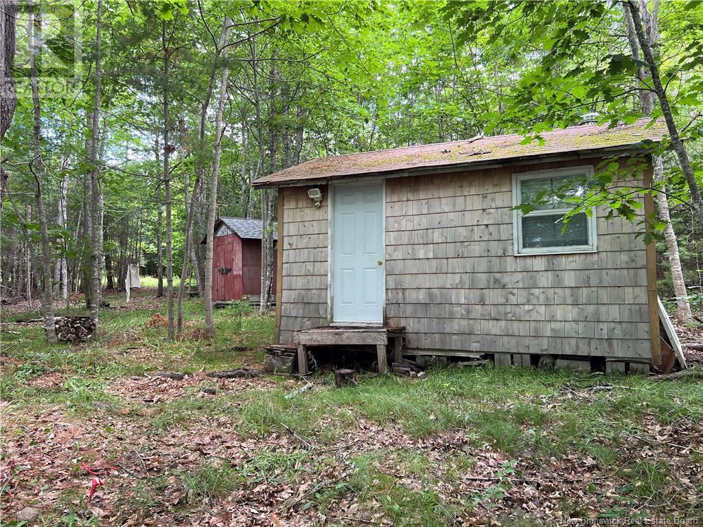 Vacant Lot Lakeview Drive, Washademoak, New Brunswick  E4C 2L6 - Photo 21 - NB102560