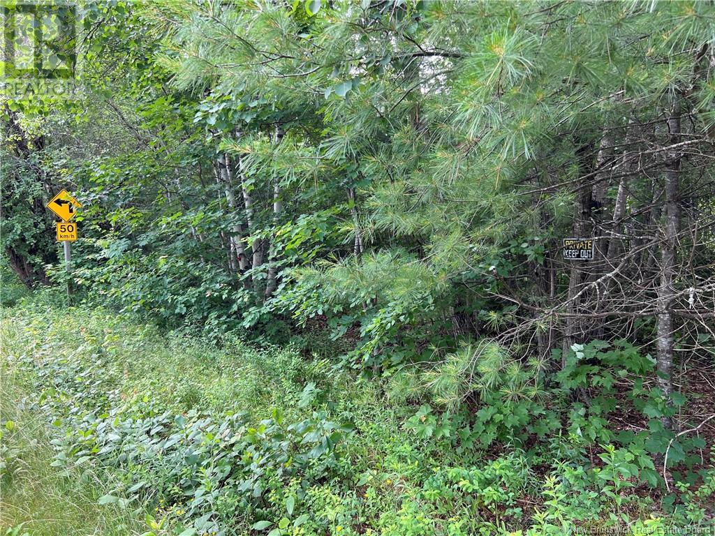 Vacant Lot Lakeview Drive, Washademoak, New Brunswick  E4C 2L6 - Photo 43 - NB102560