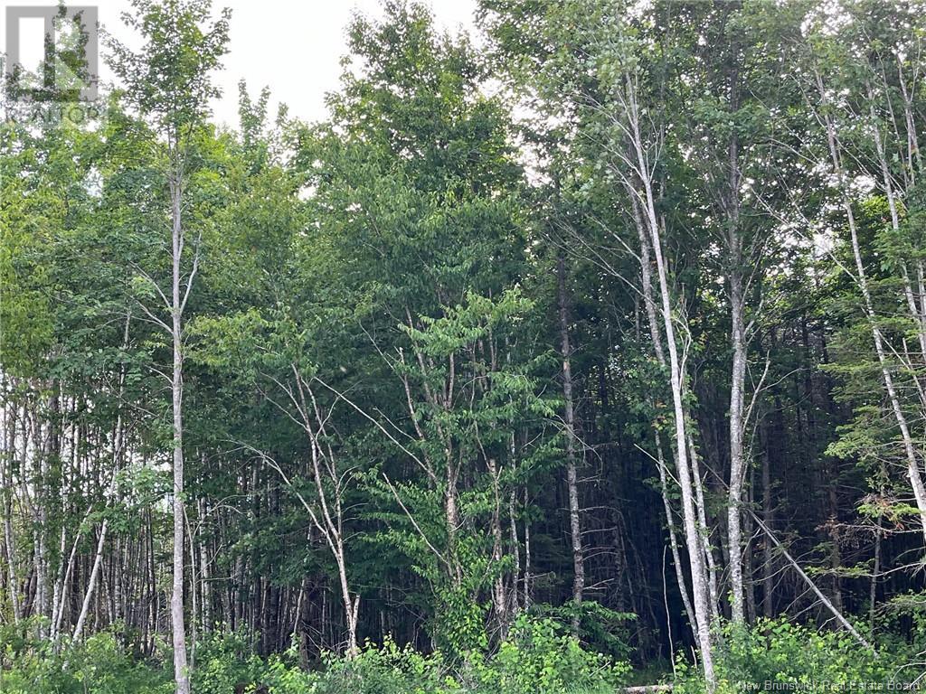 Lot 24-25 Kingsbury Court, Lower Coverdale, New Brunswick  E1J 0E7 - Photo 1 - M160674