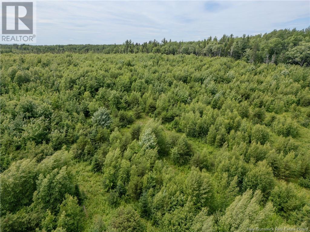 Lot Route 465, Beersville, New Brunswick  E4T 2P2 - Photo 10 - M160455