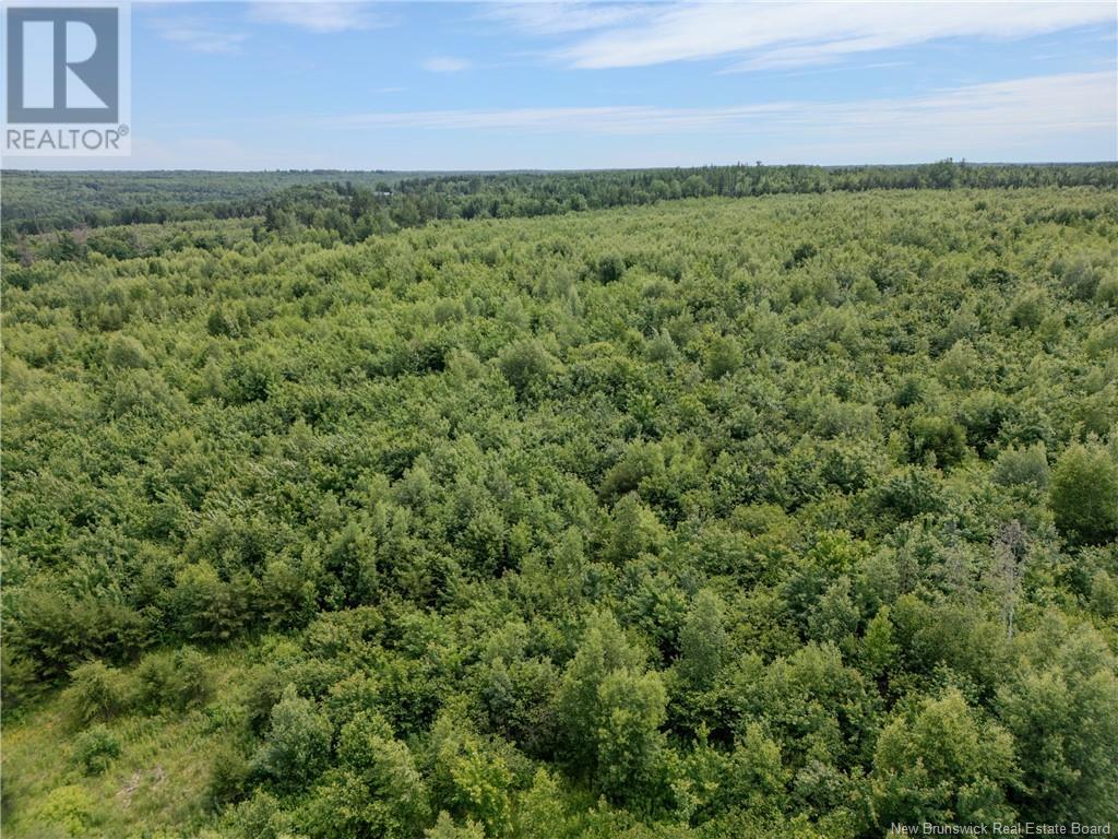 Lot Route 465, Beersville, New Brunswick  E4T 2P2 - Photo 11 - M160455