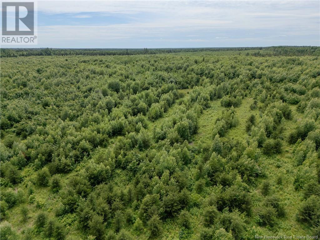 Lot Route 465, Beersville, New Brunswick  E4T 2P2 - Photo 12 - M160455