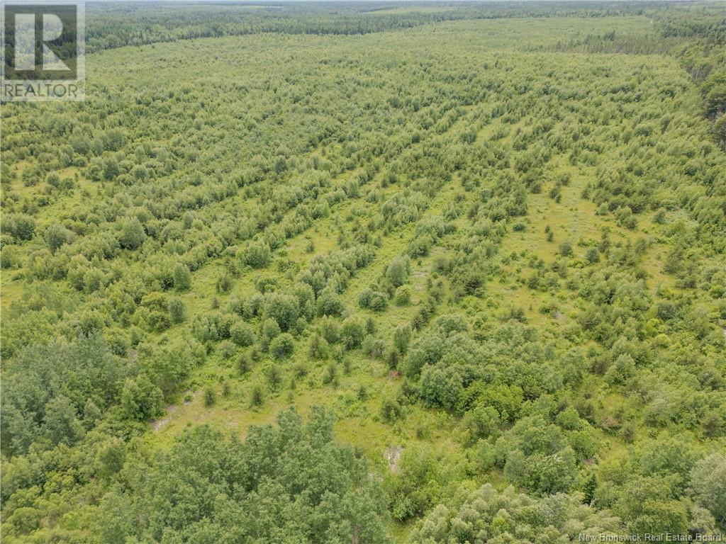 Lot Route 465, Beersville, New Brunswick  E4T 2P2 - Photo 13 - M160455