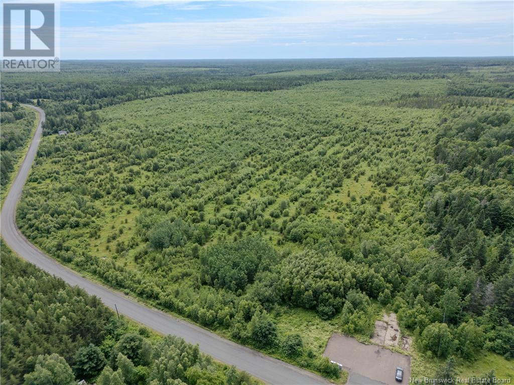 Lot Route 465, Beersville, New Brunswick  E4T 2P2 - Photo 14 - M160455