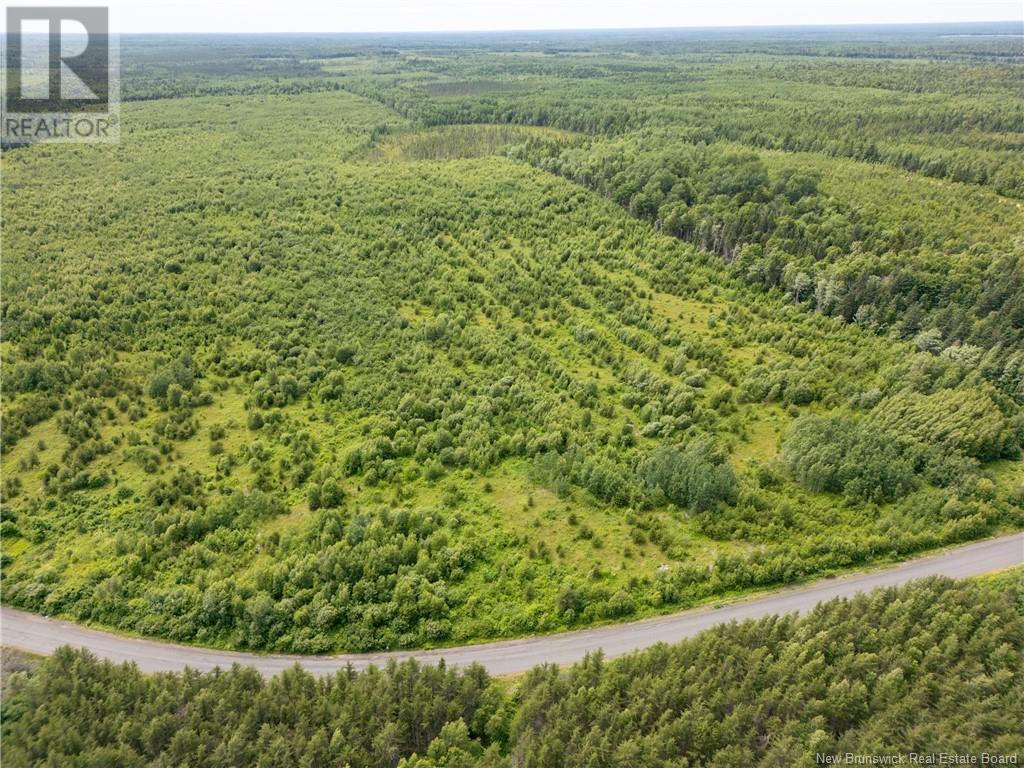 Lot Route 465, Beersville, New Brunswick  E4T 2P2 - Photo 16 - M160455