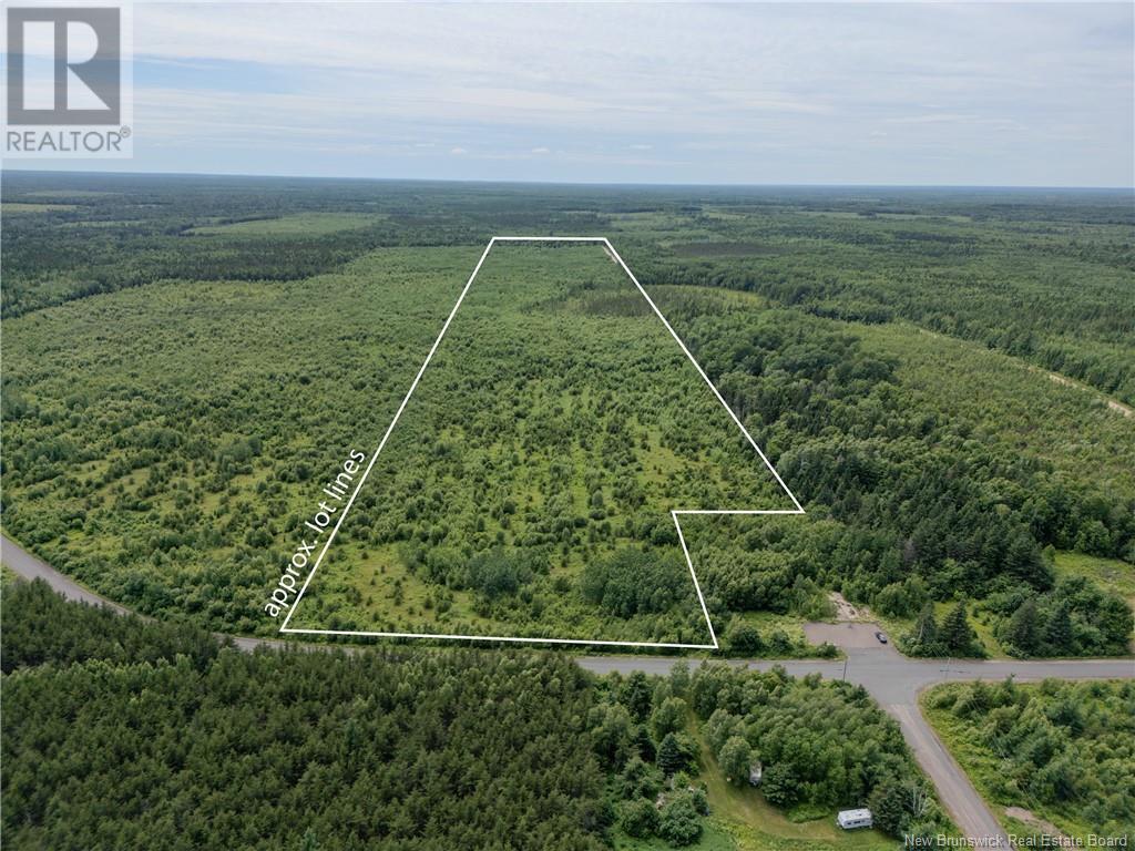 Lot Route 465, Beersville, New Brunswick  E4T 2P2 - Photo 2 - M160455