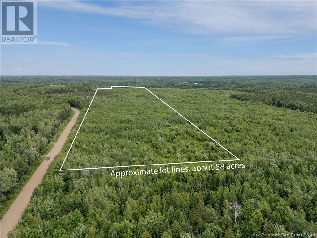 Lot Route 465, Beersville, New Brunswick  E4T 2P2 - Photo 3 - M160455