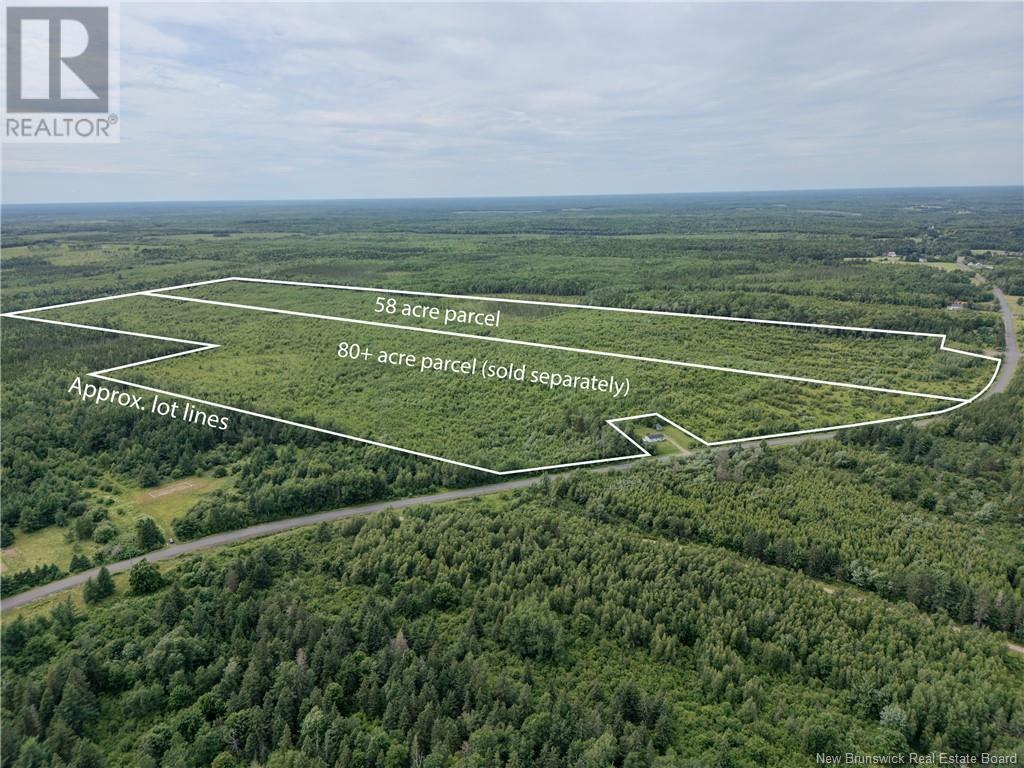 Lot Route 465, Beersville, New Brunswick  E4T 2P2 - Photo 4 - M160455