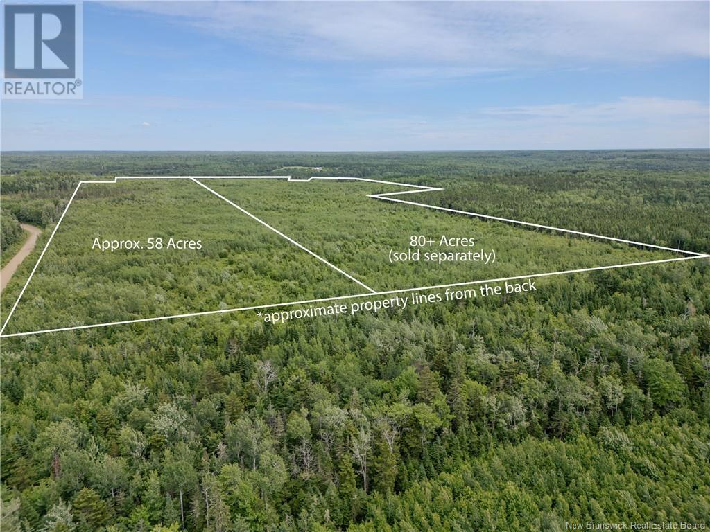 Lot Route 465, Beersville, New Brunswick  E4T 2P2 - Photo 5 - M160455