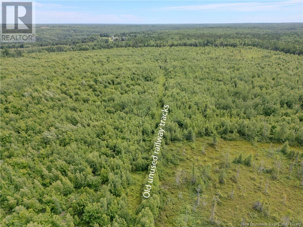 Lot Route 465, Beersville, New Brunswick  E4T 2P2 - Photo 6 - M160455