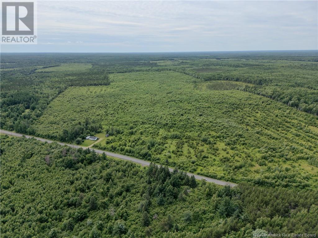 Lot Route 465, Beersville, New Brunswick  E4T 2P6 - Photo 11 - M160454