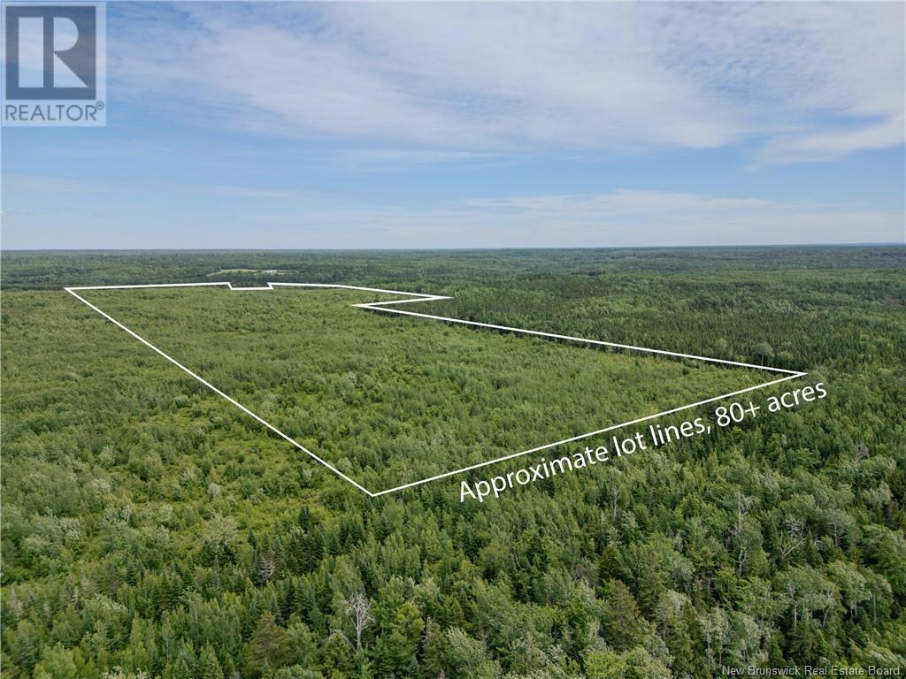 Lot Route 465, Beersville, New Brunswick  E4T 2P6 - Photo 3 - M160454