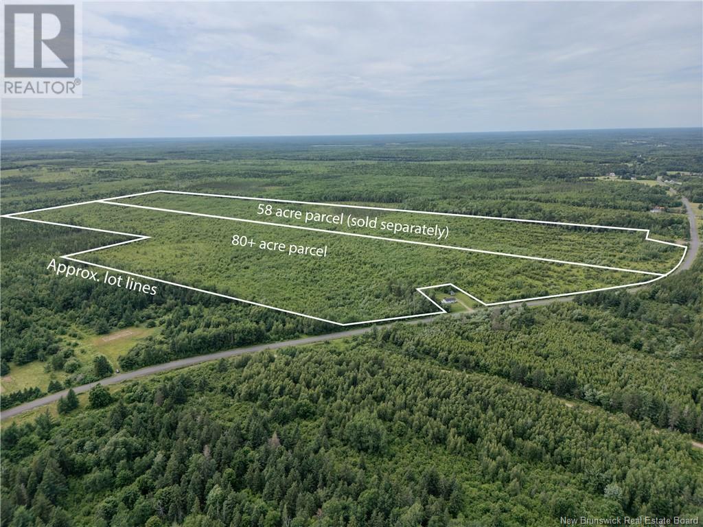 Lot Route 465, Beersville, New Brunswick  E4T 2P6 - Photo 4 - M160454