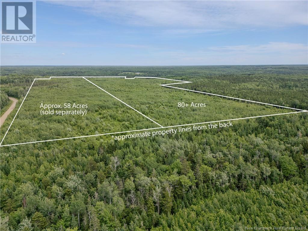 Lot Route 465, Beersville, New Brunswick  E4T 2P6 - Photo 5 - M160454