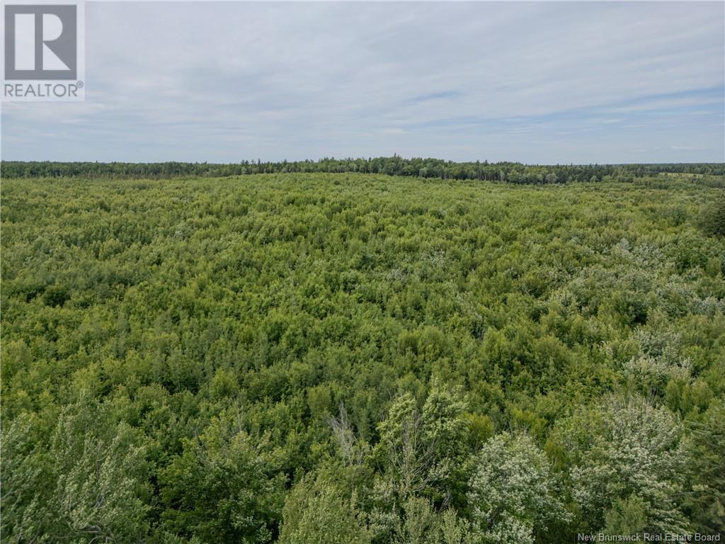 Lot Route 465, Beersville, New Brunswick  E4T 2P6 - Photo 6 - M160454