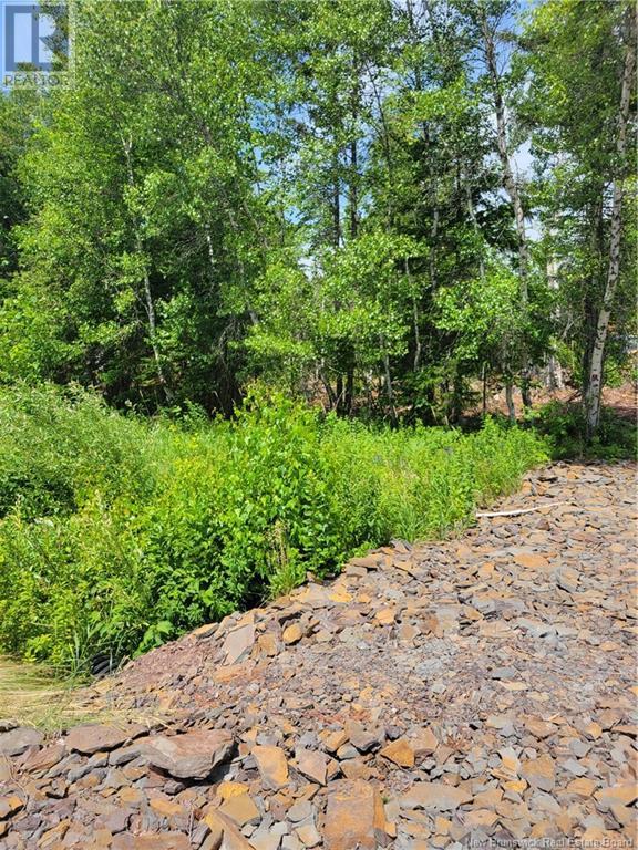 Lot 2022-2 Route 105, Mill Cove, New Brunswick  E3C 3B2 - Photo 10 - NB102750