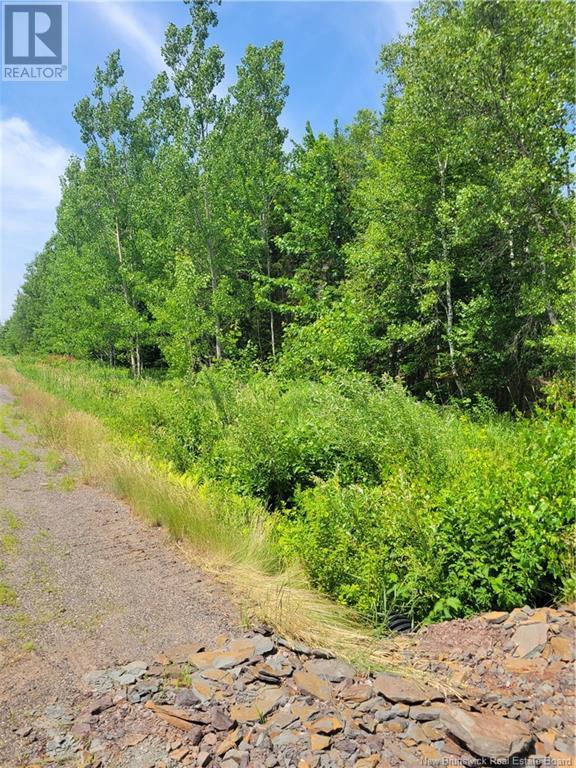 Lot 2022-2 Route 105, Mill Cove, New Brunswick  E3C 3B2 - Photo 11 - NB102750