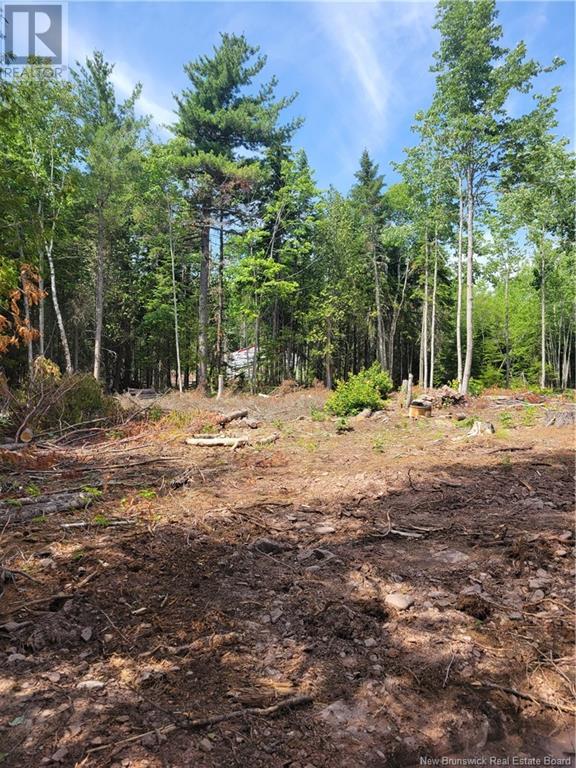 Lot 2022-2 Route 105, Mill Cove, New Brunswick  E3C 3B2 - Photo 5 - NB102750