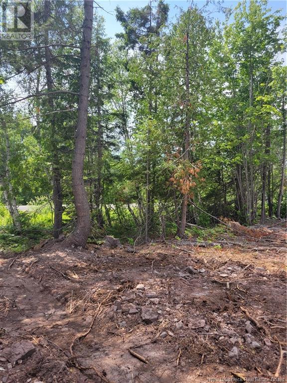 Lot 2022-2 Route 105, Mill Cove, New Brunswick  E3C 3B2 - Photo 9 - NB102750