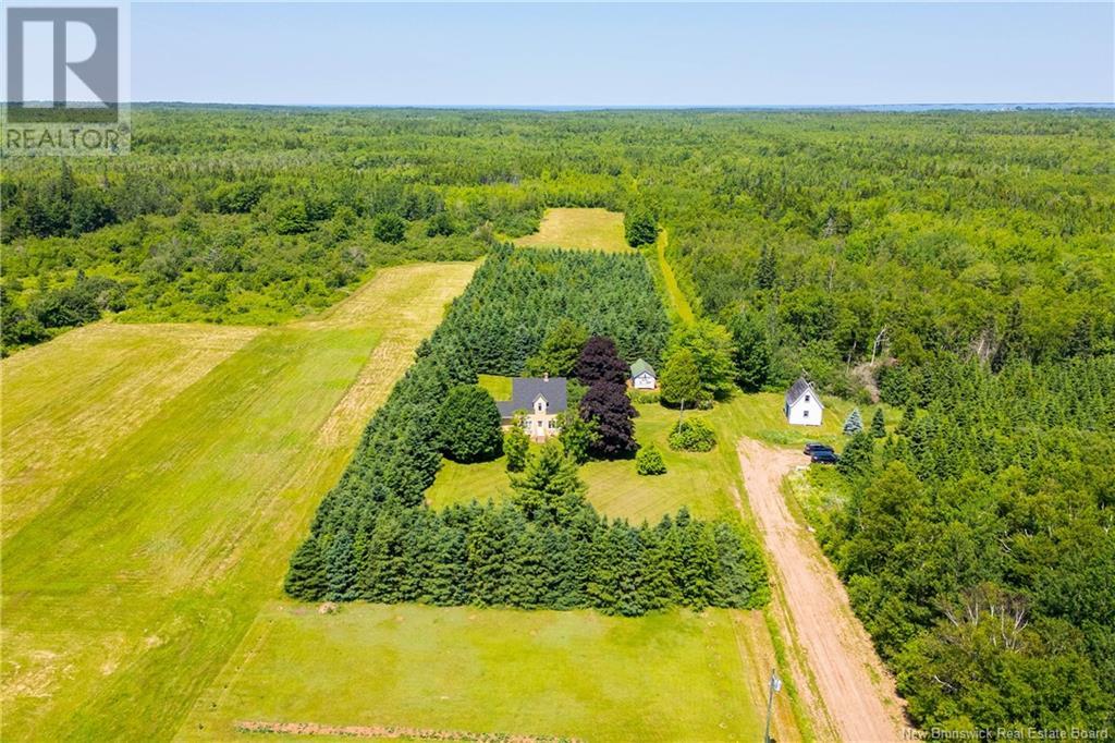 22 Cape Spear Cross Road, Cape Spear, New Brunswick  E4M 3C5 - Photo 3 - M160757