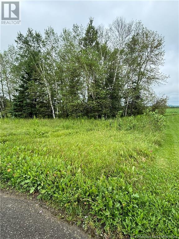 145 Drummond Station Road, Drummond, New Brunswick  E3Y 1V9 - Photo 1 - NB102851