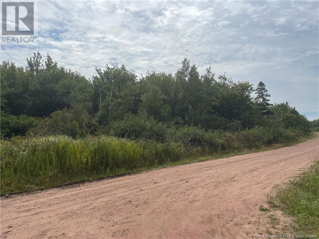 Lot Dugay Point Road, Little Shemogue, New Brunswick  E4M 3W6 - Photo 11 - M160807