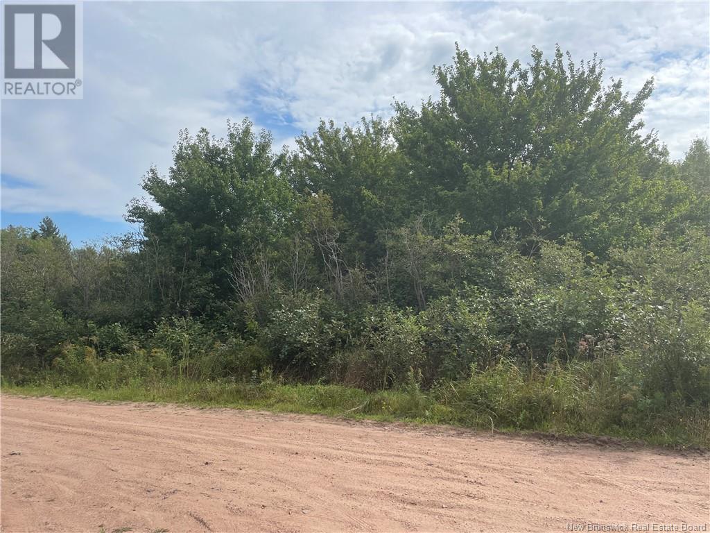 Lot Dugay Point Road, Little Shemogue, New Brunswick  E4M 3W6 - Photo 12 - M160807